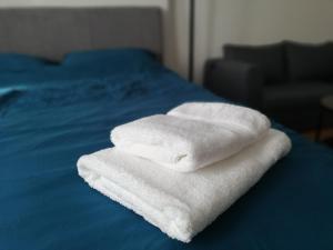 City center Apartment