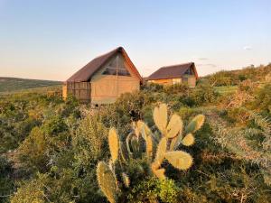 obrázek - Harmony Luxury Tents & Safari