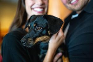 Whistler Village Inn & Suites