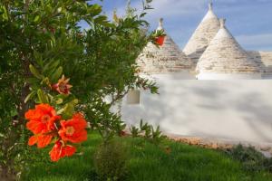Trullo il Gatto Nero