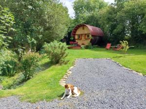 Maisons de vacances L'authentique Tonneau a Cidre d'Emma : photos des chambres