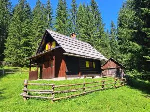 BRINA Pokljuka - Podjelje