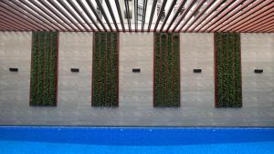 Apartament Social Tree 907