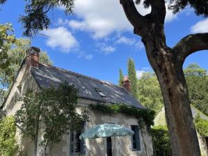 Maisons de vacances Gite Saint-Cyr-sur-Loire, 3 pieces, 4 personnes - FR-1-381-547 : photos des chambres