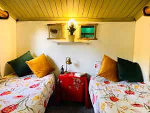 Hazyview Adventure Backpackers