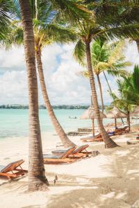 Coastal Road, Pointe Malartic, 00230 Grand Baie, Mauritius.