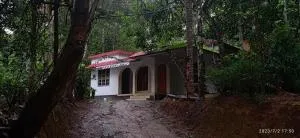 White Rose - Mānantoddy