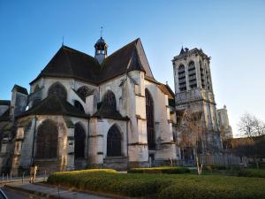 Appartements Le Nid - Troyes Centre - Climatise : photos des chambres