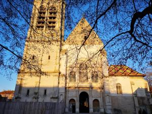 Appartements Le Nid - Troyes Centre - Climatise : photos des chambres