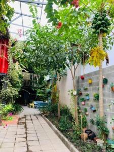 H-HOMESTAY CONTAINER LAGI BEACH