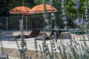 Appartements La Madeleine Arles : photos des chambres