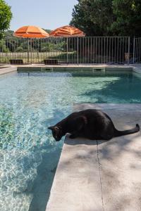 Appartements La Madeleine Arles : photos des chambres