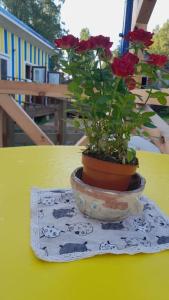 Camping Fluffy Horns - Kempings Pūkainie Ragi