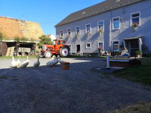 Gutshof und Ferienwohnung Proft