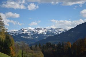 Tennladen Apartments