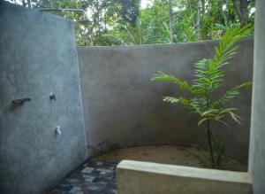 Pidurangala View Treehouse