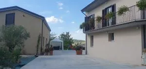 Vinea del Selvatico cascina agricola - 巴尼奥利伊尔皮诺