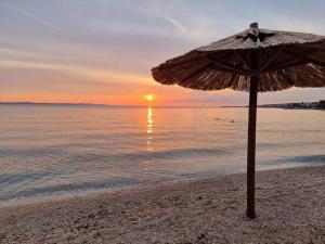 Rise of Olympus apartmani