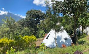 Tonkiri Sanctuary