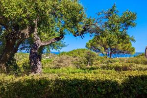 Les Restanques 3 chambres 3020