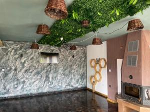 Вила Дружинци