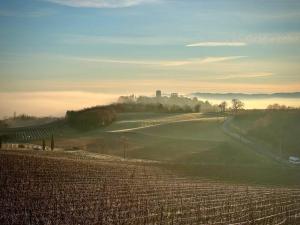 Villas Domaine de Nougayrol Large Luxury Villa with Private Pool, Free WiFi & Parking in Outstanding Vineyard : photos des chambres