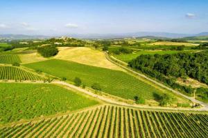 Villas Domaine de Nougayrol Large Luxury Villa with Private Pool, Free WiFi & Parking in Outstanding Vineyard : photos des chambres