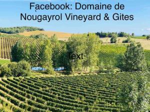 Villas Domaine de Nougayrol Large Luxury Villa with Private Pool, Free WiFi & Parking in Outstanding Vineyard : photos des chambres