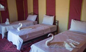 OVERNIGHT BERBER CAMP