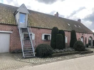 slapen bij alpacas - Wuustwezel