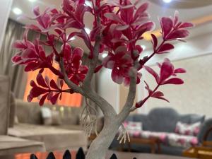 شقة مفروشة بالقاهرة مدينة المستقبل