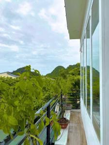 Hideaway Homestay
