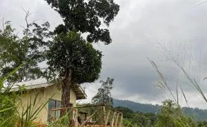 Solitary Cottage Dunhinna - 迪加纳