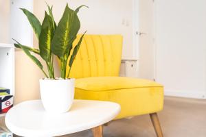 Bright 1BR apartment in Stockwell