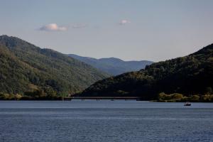 Zeleni zaliv-The Green Bay