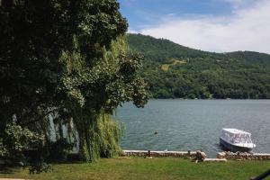 Zeleni zaliv-The Green Bay