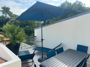 Appartement T2 superbe