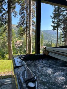 Snowghost Den-Luxury Ski In Ski Out Home Sleeps 9 with 3 Bedrooms 2 and a half Bathrooms and Private Hot Tub