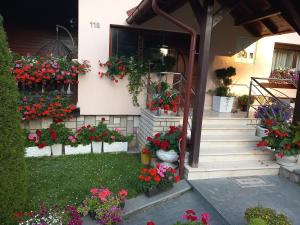 Apartment Vihor