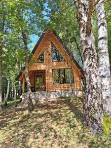 Forest Rhapsody Brezna