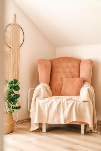 Cień Lasu Ostrowo, Jastrzębia Góra