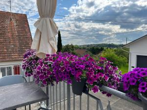 Appartements Au parfum des roses : photos des chambres