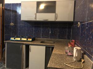 Oasis Fighting Kangaroo