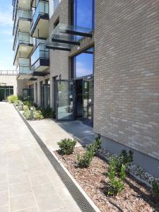 Cubus Nest Apartment