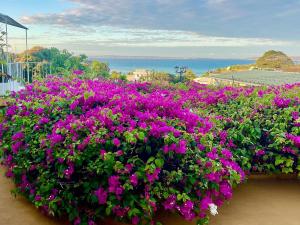 Le Jardin Exotique Hotel