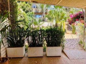 Le Jardin Exotique Hotel