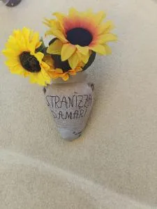 Stranizza D'amari - Casa Santa