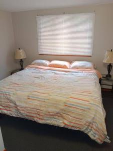 private upper 1 bd apartment