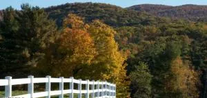 The Inn at Richmond - Lenox