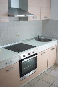 Apartment Basioli